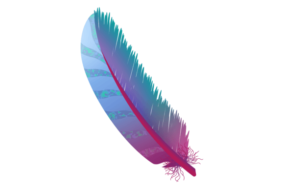 Colorful Realistic Feather. Decorative T: A Designer's Guide