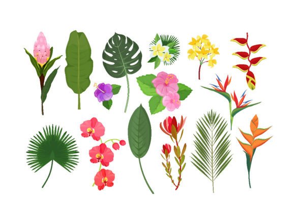 Decorative Exotic Flowers: Beyond the Ordinary Bouquet